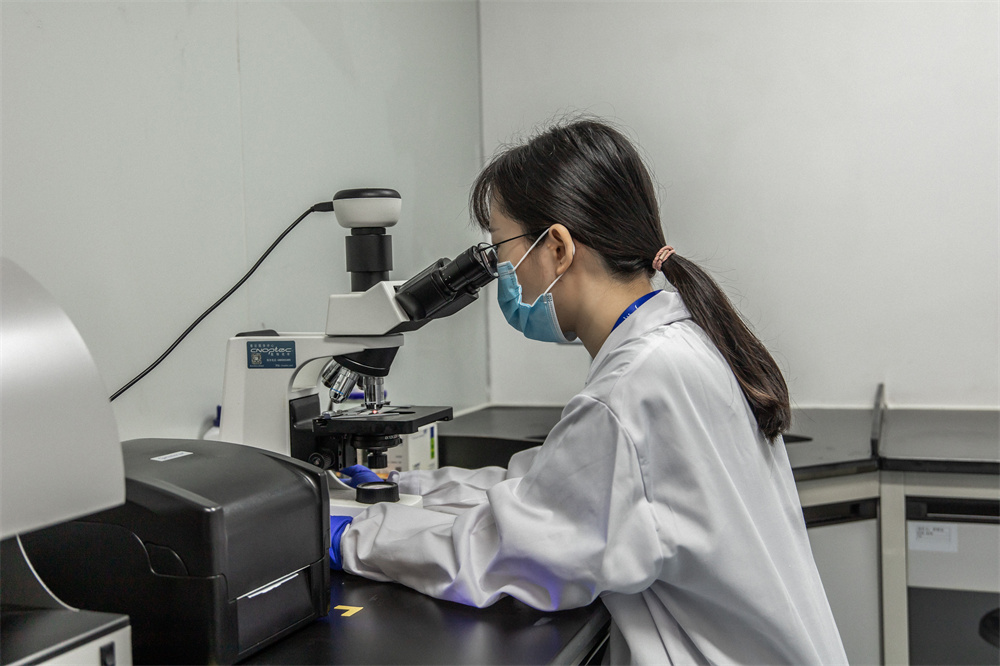 微生物特色服务